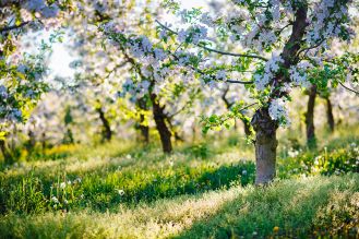 kalendarz biodynamiczny maj 2026
