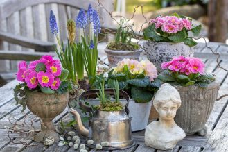 zimowe prace ogrodowe