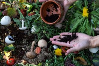 Ekologiczny ogród: kuchenne odpadki, które pokochają twoje rośliny