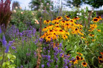 wiosenne porady ogrodnicze