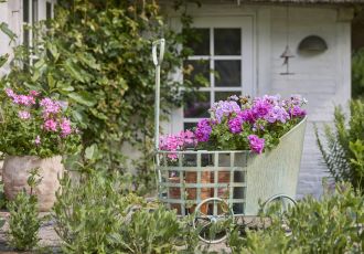 6 trików, które odmienią Twój wiosenny ogród w jeden weekend