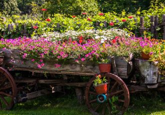 Pomysły na niepowtarzalne dekoracje do ogrodu w stylu country