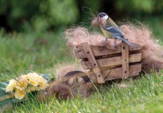 Karmnik dla ptaków, poidełko, budki dla ptaków – jak zwabić ptaki do ogrodu i co w nim posadzić, by dobrze się tam czuły?