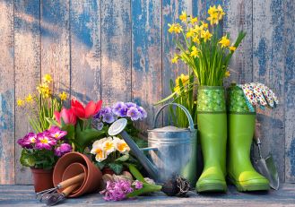 prace ogrodowe kwiecień, prace ogrodowe maj, kalosze, cebulki kwiatów, narzędzia ogrodnicze, co robić w ogrodzie na wiosnę