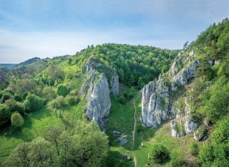 Wąwóz Bolechowicki - idealne miejsce na wycieczkę Wąwóz Bolechowicki - idealne miejsce na wycieczkę