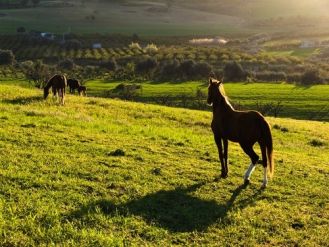 Dobra energia dla agroturystyki