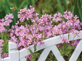 kalendarz biodynamiczny kwiecień 2026