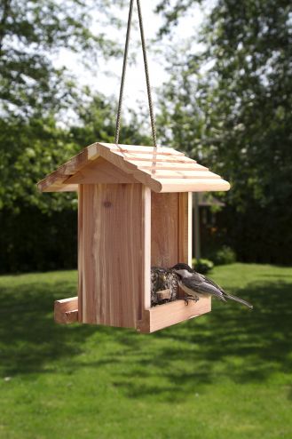 Jak zbudować karmnik dla ptaków?