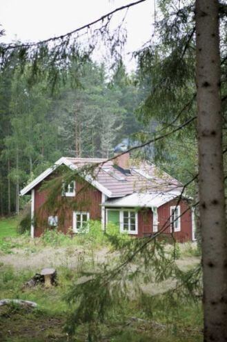 Leśna chata w stylu skandynawskim