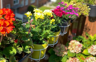 Wiosna to najlepsza pora, by obsadzić balkon kwiatami we wszystkich kolorach tęczy.