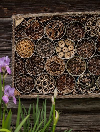 Domek dla owadów: zrób go sam lub powieś gotowy. Zaproś do ogrodu pszczoły, trzmiele, lepiarki...