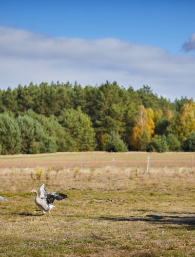 Marzysz, by wyprowadzić się na wieś? Przeczytaj najpierw tę rozmowę!