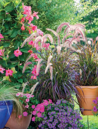 Kwiaty na taras i balkon: 10 wskazówek, jak urządzić zielony zakątek i co posadzić