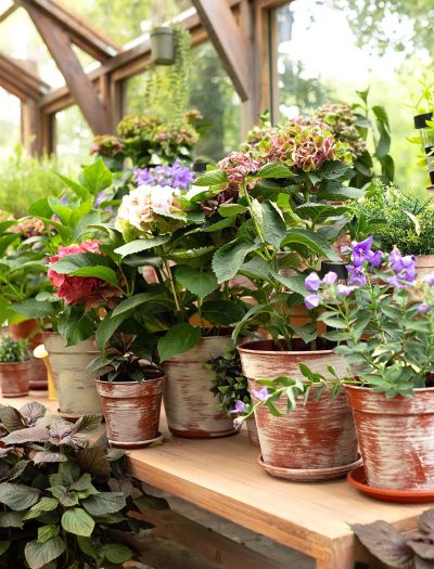 7 kroków do idealnego ogrodu na wiosnę. Lista, która oszczędzi Ci godzin pracy!