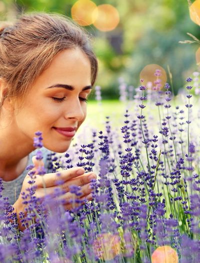 Jakie rośliny miododajne posadzić w ogrodzie?