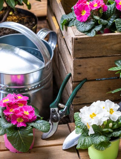 10 wiosennych prac w ogrodzie, od których warto zacząć sezon