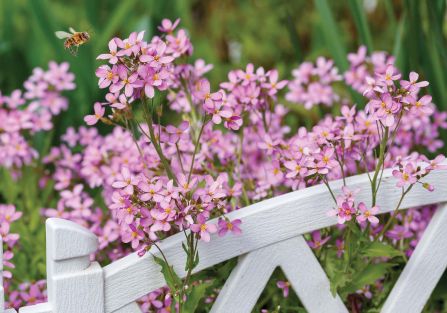 kalendarz biodynamiczny kwiecień 2026