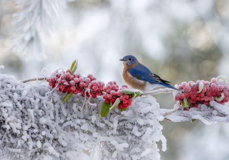 kalendarz biodynamiczny luty 2026