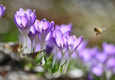 kalendarz biodynamiczny marzec 2026