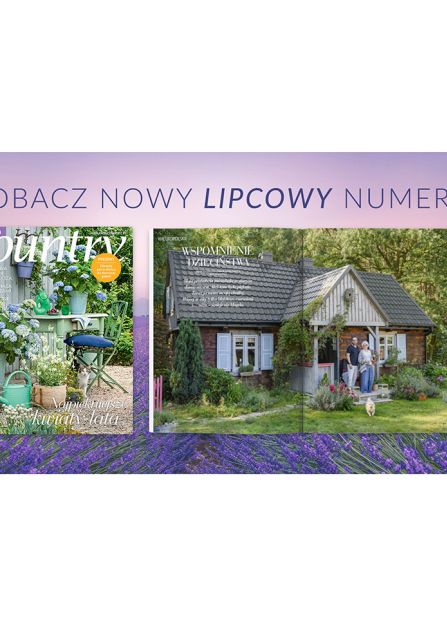 Lipiec pachnący słońcem, jagodami i lawendą – nowy numer Weranda Country już w sprzedaży!
