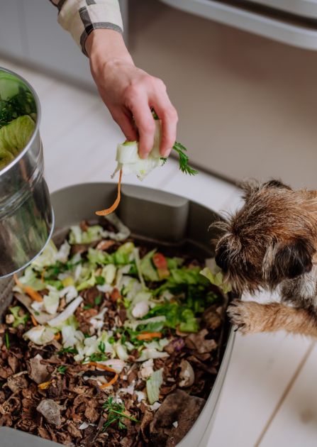 Kompost możesz robić nawet w mieszkaniu w dużym mieście! Zobacz, jaki kompostownik kuchenny wybrać, jak go używać i gdzie postawić