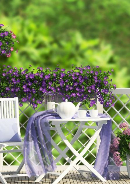 Kwiaty na balkon – jakie wybrać na słoneczny balkon południowy i zacieniony północny?