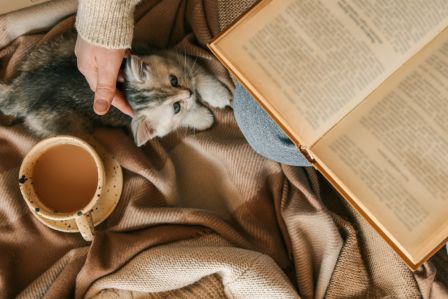 10 książek idealnych na jesień