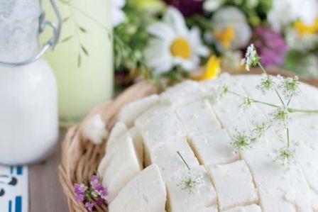 Jak zrobić ser panir?