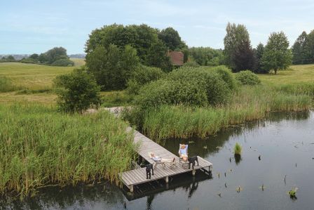 rustykalne przedwojenne siedlisko