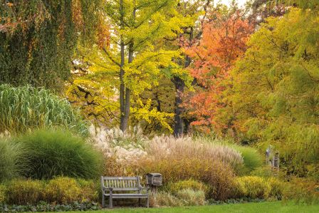 arboretum wojsławice