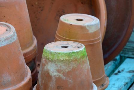 Jak samodzielnie odnowić doniczki ceramiczne