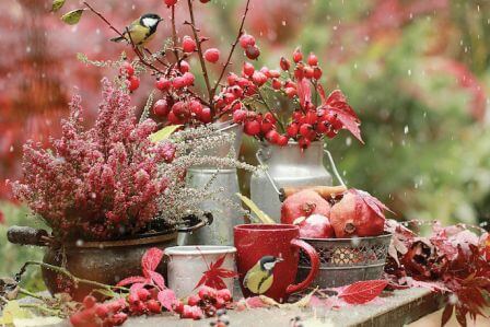 dokarmianie zwierząt zimą