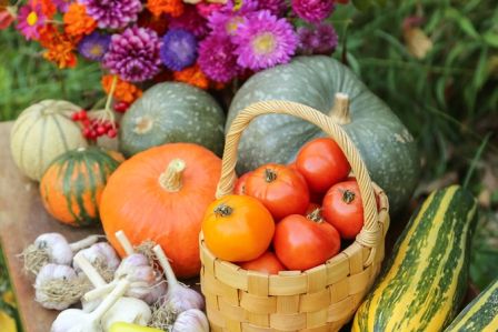 kalendarz biodynamiczny wrzesień 2026
