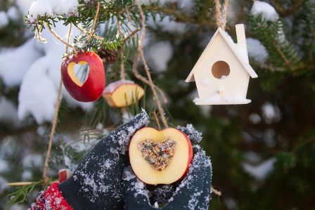 kalendarz biodynamiczny grudzień 2025