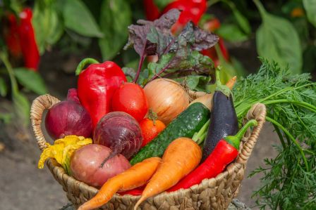 kalendarz biodynamiczny lipiec 2026