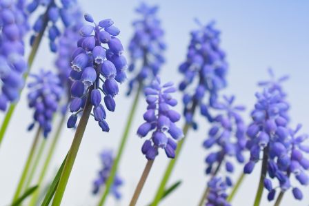 kalendarz biodynamiczny marzec 2026