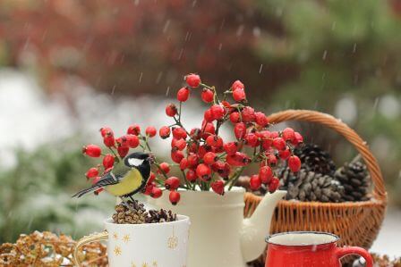 kalendarz biodynamiczny styczeń 2026