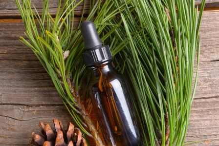 kosmetyki diy z igieł sosny