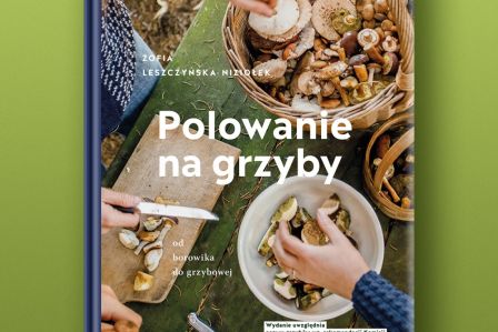 polowanie na grzyby