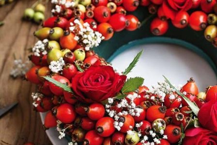 rośliny do dekoracji zimowych