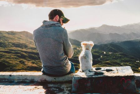 rozmowy ze zwierzętami