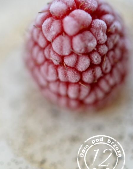 Panna cotta