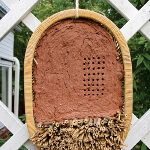 domek dla owadów diy