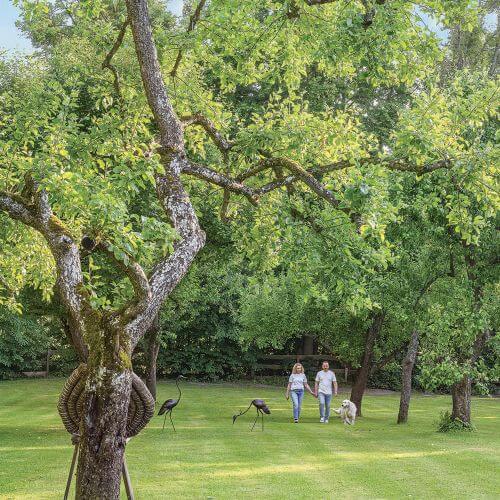 siedlisko w sadzie pod warszawą
