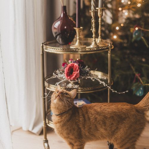 dekoracje bożonarodzeniowe