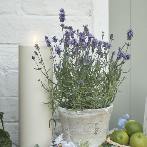 wiosenne dekoracje do ogrodu