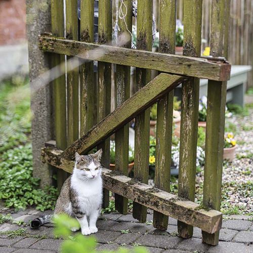 stary dom na mazurach