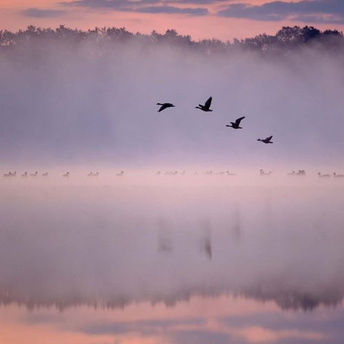 dolina baryczy we mgle