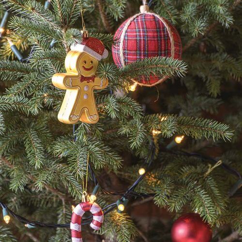 stary dom w bieszczadach