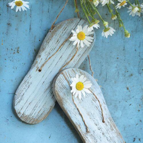 rumianek właściwości